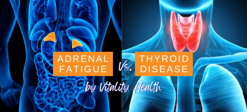 Adrenal Fatigue vs. Thyroid Issues What South Florida Patients Need to Know, Vitality Health SFL